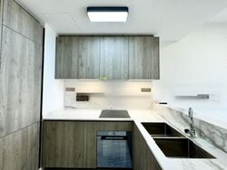 Leedon Green (D10), Condominium #470466431